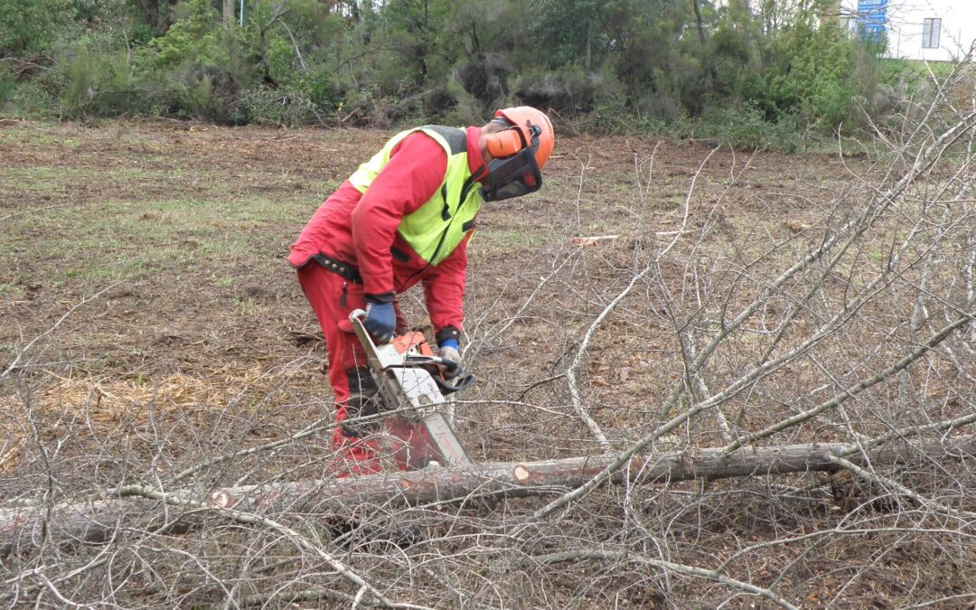 Uso in sicurezza della Motosega