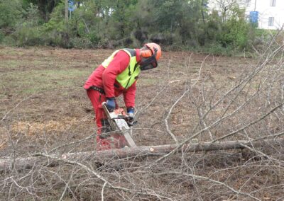 Uso in sicurezza della Motosega