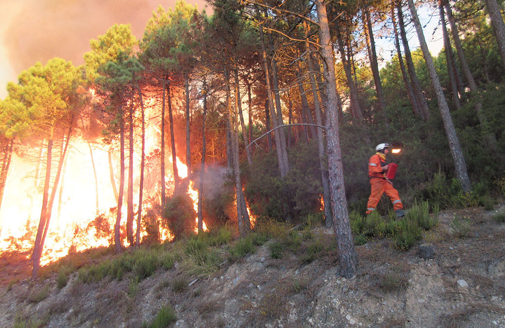 Incendi in zone di interfaccia