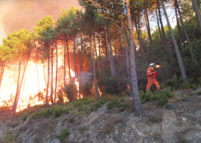 Incendi in zone di interfaccia