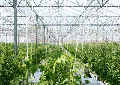 Formazione obbligatoria per distributori di prodotti  fitosanitari