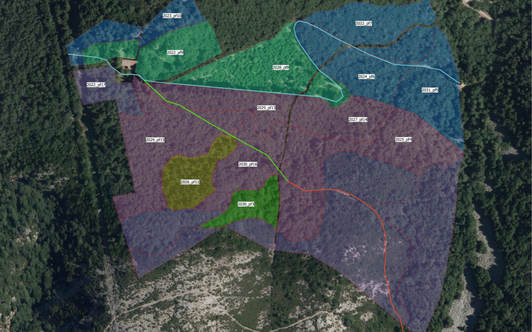 Imparare ad utilizzare QGIS-Livello base