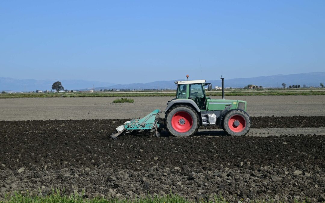 Trattori agricoli o forestali su ruote o cingoli