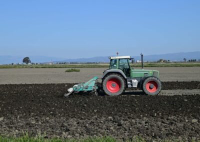 Trattori agricoli o forestali su ruote o cingoli